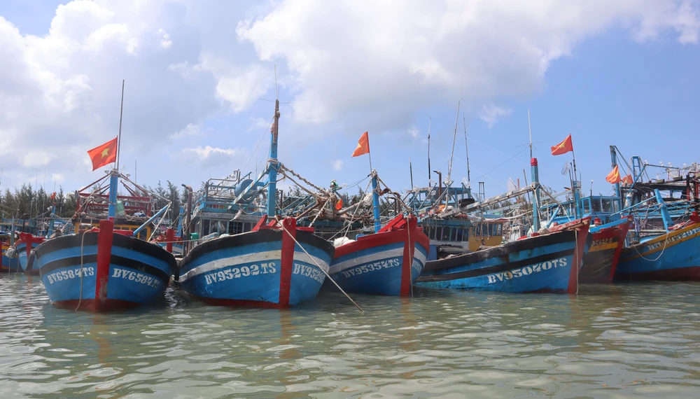 Tàu cá của ngư dân tỉnh Bà Rịa - Vũng Tàu đang neo đậu ở cảng. Ảnh: Khánh Ly