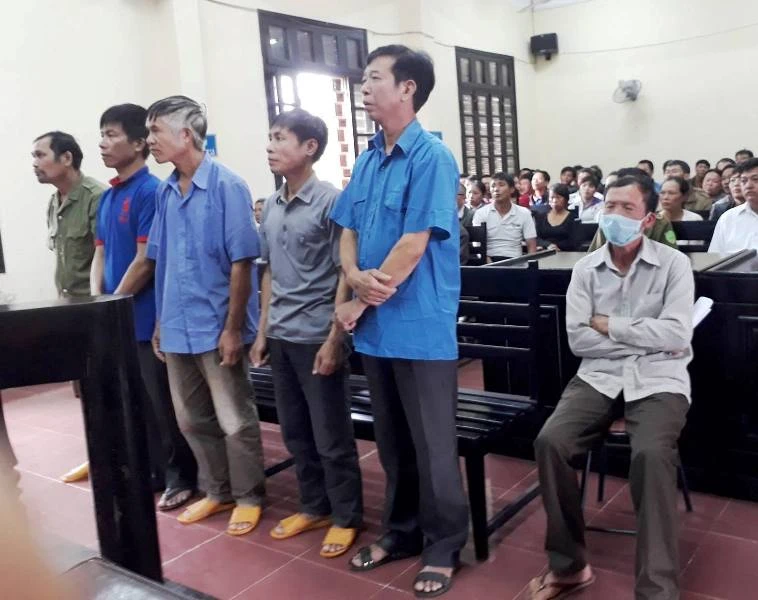 Hội cựu chiến binh xin bảo lãnh cho 7 bị cáo 'phá rừng'