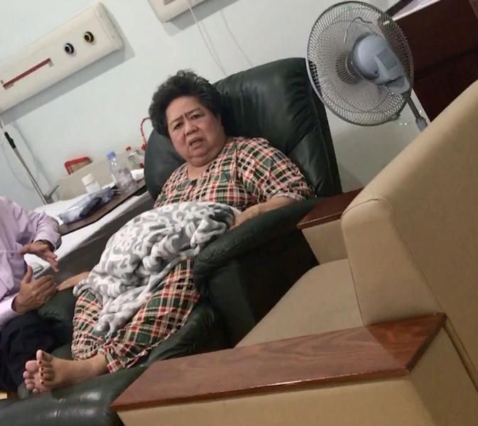 TAND TP.HCM sẽ xét xử bà Hứa Thị Phấn vào ngày 8-5 ảnh 1