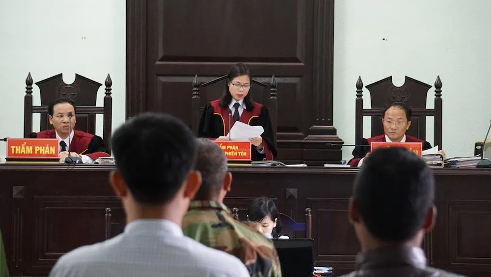 Luật sư vụ cưa gỗ khô chất vấn tòa xử kín hay công khai? ảnh 2