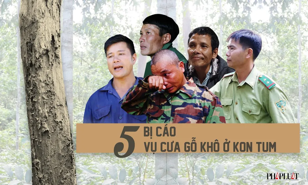 Vụ gỗ khô: Chủ nhiệm UBTP 'bẻ' lập luận của VKSND Tối cao ảnh 2
