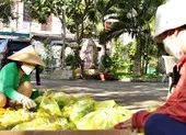 Xóm trọ khắc khoải trông ngóng quà từ thiện ảnh 11 TP.HCM: Xóm Công viên Hạnh Phúc gác việc nhà, giúp người khó ngặt