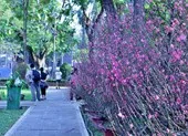 Lo thưởng tết thấp, nhiều người chần chừ không dám về quê ảnh 3 Trường hợp nào phải cách ly y tế khi về quê ăn tết?
