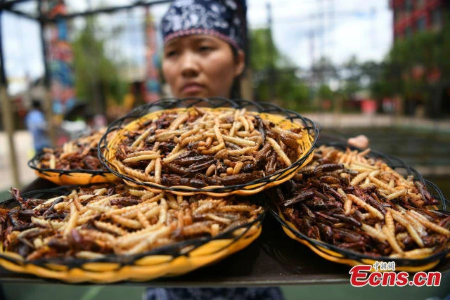 Du khach thang vang 24K sau khi an het 1,23 kg con trung hinh anh 2