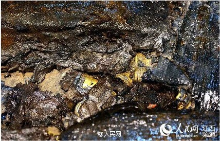 Phát hiện hàng trăm 'bánh vàng' trong mộ cổ hoàng đế bị truất ngôi ảnh 6