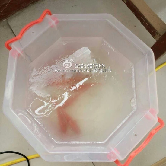 Những hình ảnh lạnh đến ‘cắt thịt cắt da’ ở Trung Quốc ảnh 3