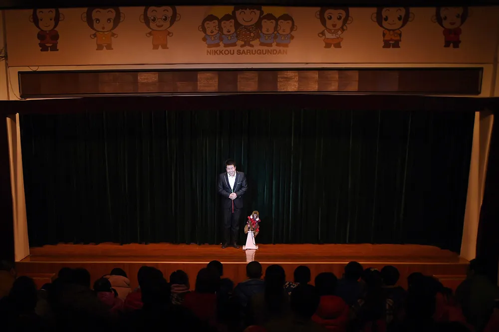 Năm con khỉ, xiếc khỉ lên ngôi ảnh 11