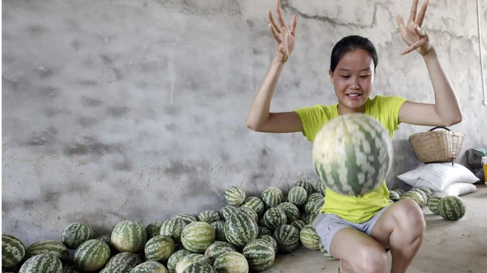 dưa hấu trung quốc
