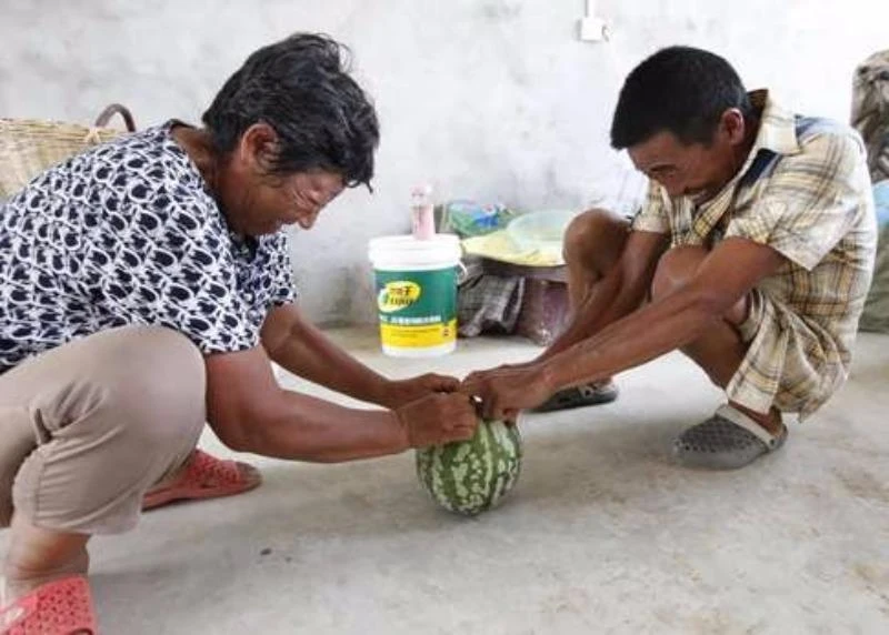 dưa hấu trung quốc