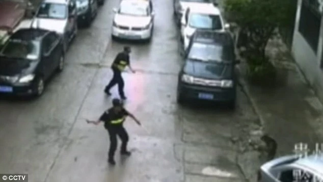 chó dữ tấn công 20 người ở Trung Quốc