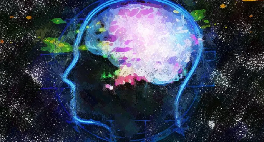 não bộ con người