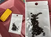 Mỹ kêu gọi dân cảnh giác các gói hạt giống bí ẩn từ Trung Quốc