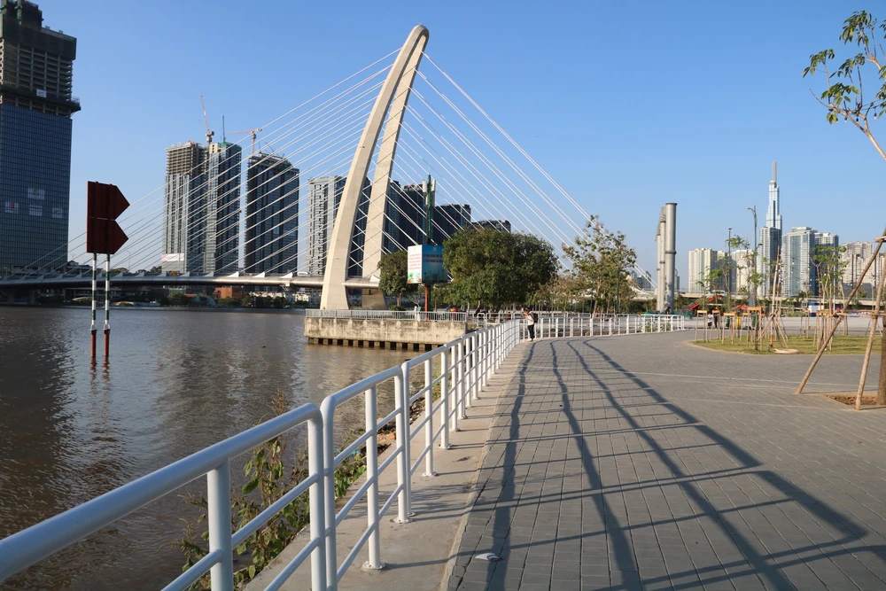 hoa-huong-duong-39.jpg