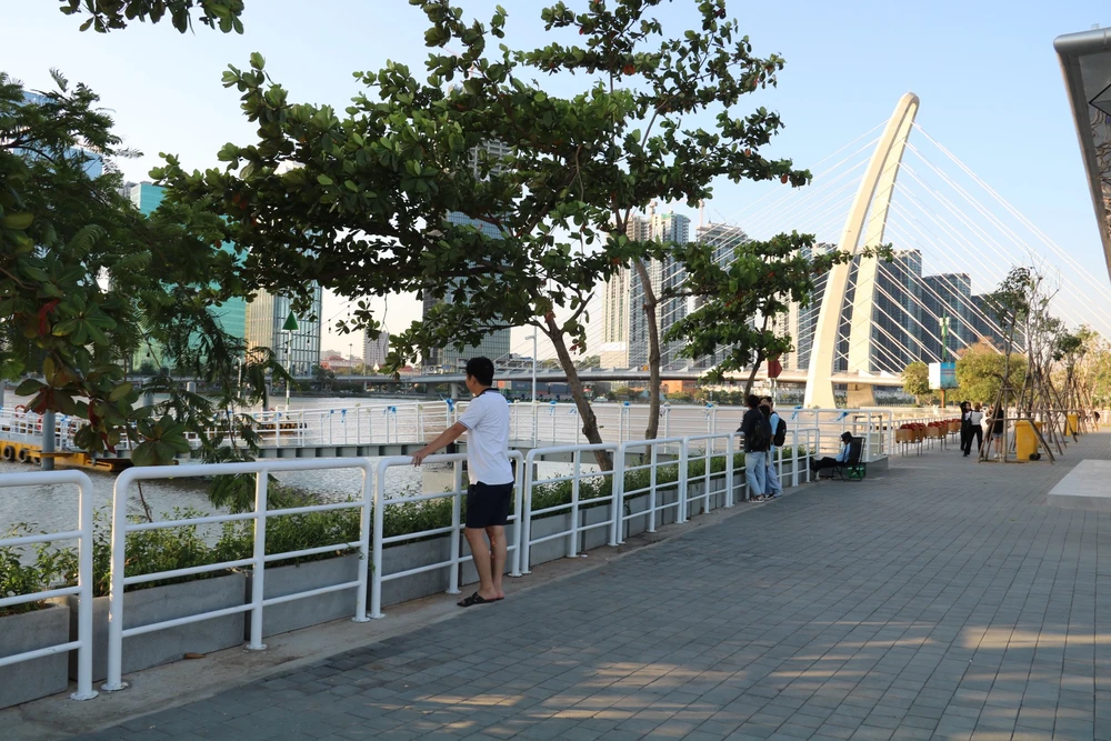 Bến cầu tàu-địa điểm ngắm hoàng hôn mới của giới trẻ. hoa-huong-duong-42.jpg