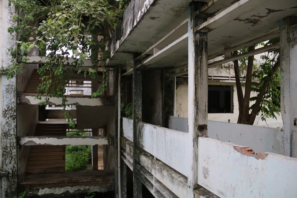 Cây cối, rong rêu phủ kín tường. tieu-hoc-tran-van-kieu-14.jpg
