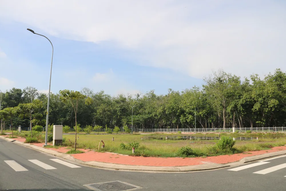 Khu tái định cư chung tại xã Tân Thạnh Tây có diện tích 26,5 ha, là đất trồng cây cao su. cao-toc-TP.HCM-moc-bai-7.jpg