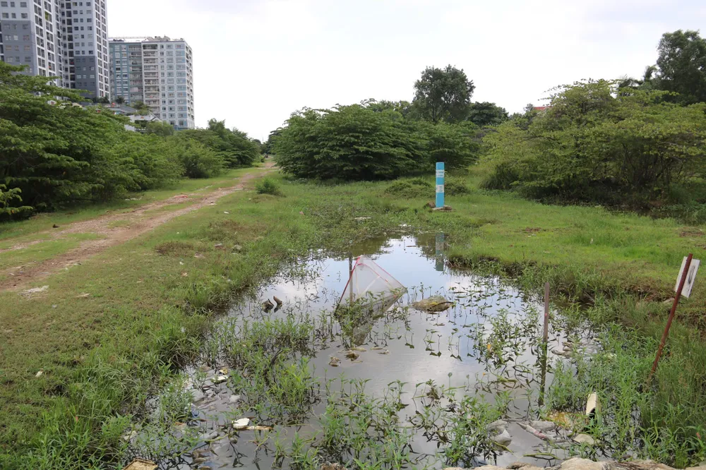 Nước đọng khắp nơi.