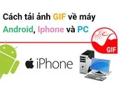 Cách tải ảnh GIF về điện thoại Android, iPhone và PC