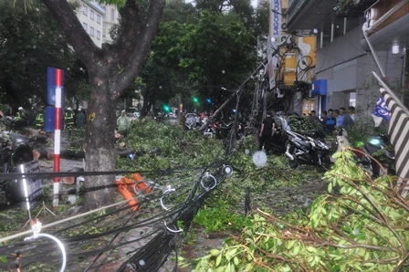 Hà Nội: Cây cổ thụ, cột điện lại gãy đổ sau bão ảnh 2