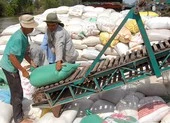 Các ngành báo cáo gì tại cuộc họp về xuất khẩu gạo ảnh 1 Bộ Công Thương lý giải đề xuất tạm dừng xuất khẩu gạo