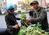 Hà Nội: Hoa bưởi xuống phố, giá giảm nhưng vắng người mua ảnh 6 Hoa bưởi gần 300.000 đồng/kg vẫn hút khách Hà Nội