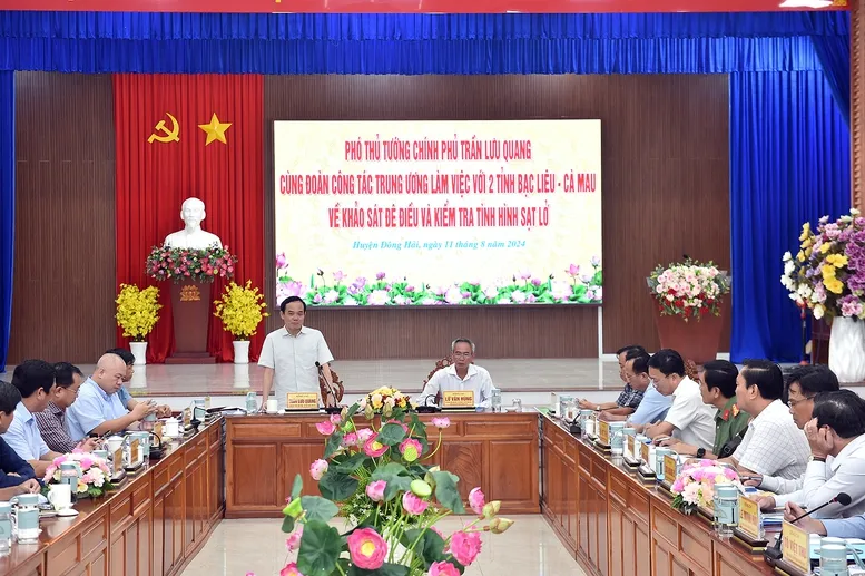 Phó Thủ tướng Trần Lưu Quang.jpg