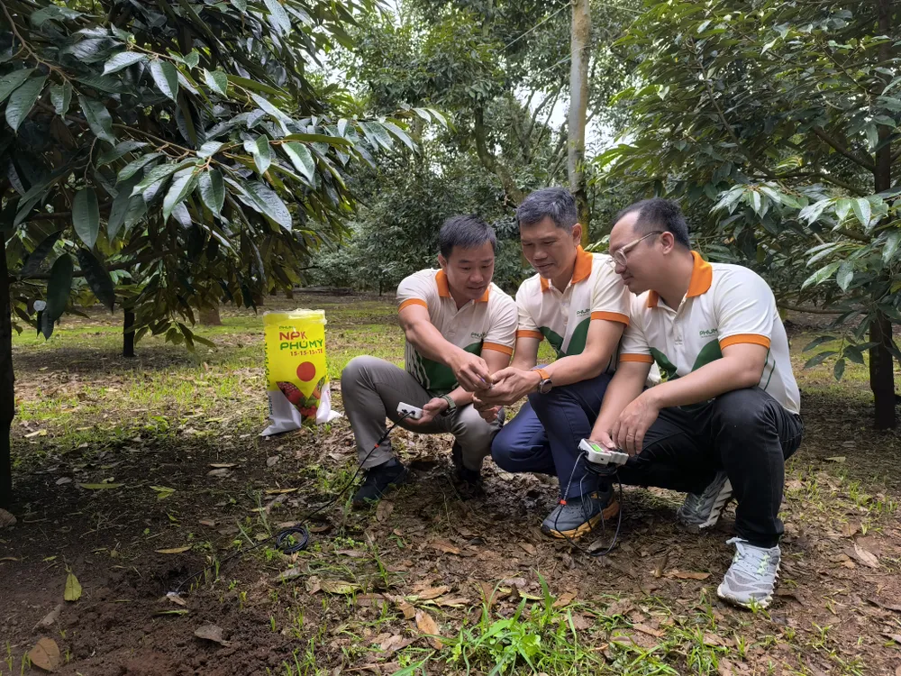 Phú Mỹ triển khai đo dinh dưỡng đất thông minh, ứng dụng công nghệ tiên tiến. Phú Mỹ triển khai đo dinh dưỡng đất thông minh, ứng dụng công nghệ tiên tiến (2) (1).jpg