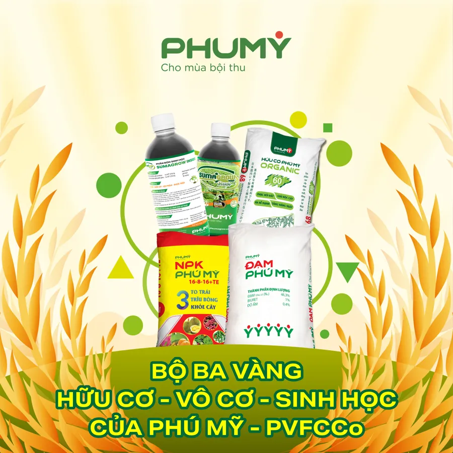 Ra mắt hữu cơ Phú Mỹ Organic, hoàn thiện 'Bộ ba vàng' dinh dưỡng.jpg