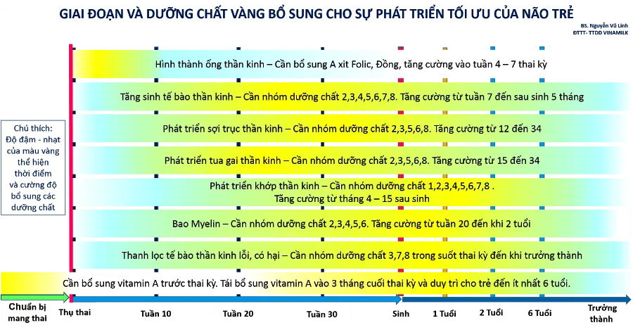 “Dinh dưỡng vàng - Thời gian vàng” cho não bộ của trẻ ảnh 1