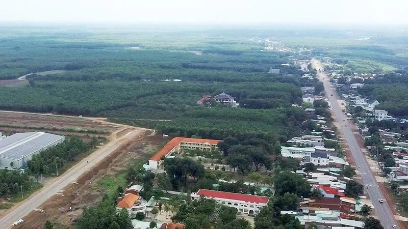 Lâm nghiệp là ngành kinh tế chính của Bình Phước