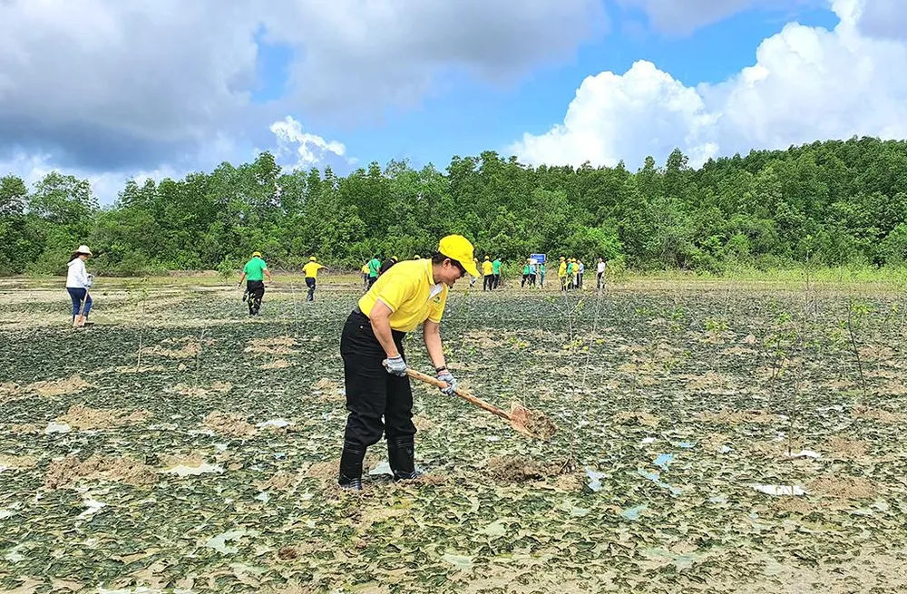 Đại diện VWS và các kiều bào trực tiếp trồng cây ở vùng ngập mặn Cần Giờ. Đại diện VWS và các kiều bào trực tiếp trồng cây ở vùng ngập mặn Cần Giờ.