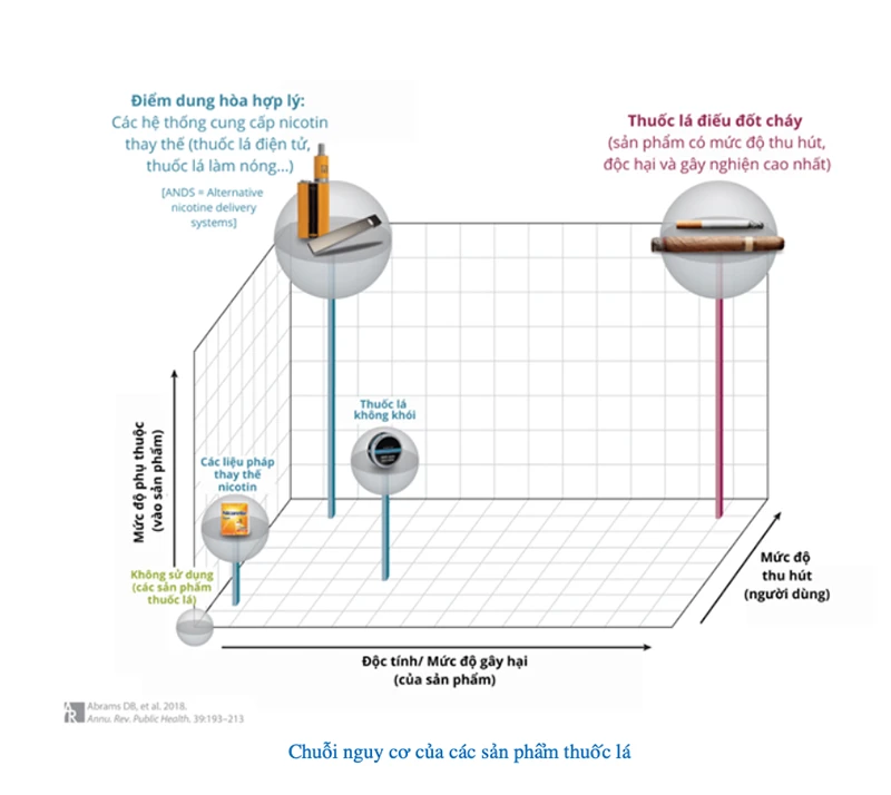 Chuỗi nguy cơ của các sản phẩm thuốc lá