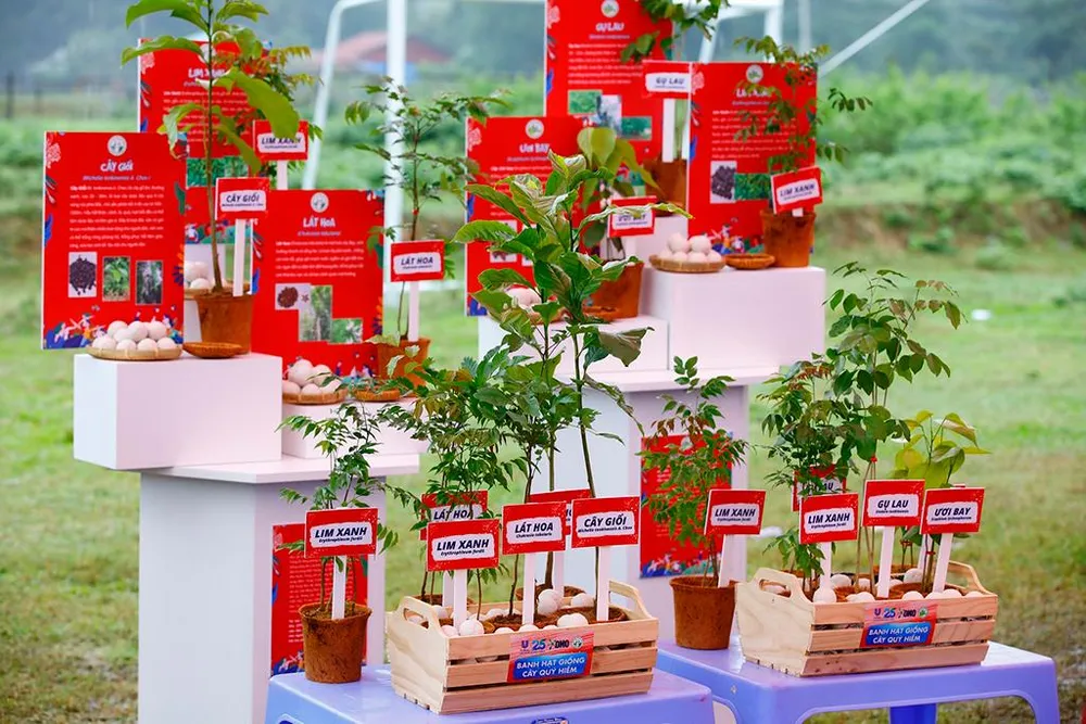 Từ 2019 đến nay, OMO đã trồng hơn 250.000 cây xanh ở 19 tỉnh, thành.