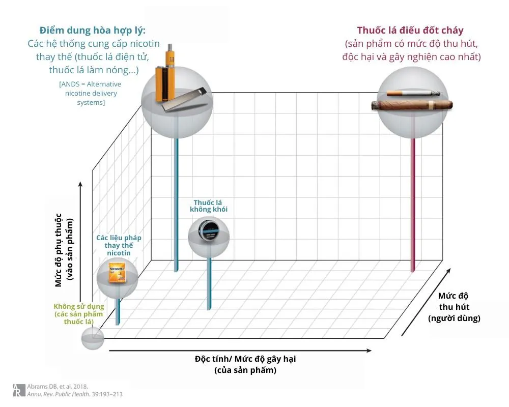 Nghiên cứu của nhóm tác giả đăng trên tạp chí Annual Review (Hoa Kỳ) cho thấy: thuốc lá điếu thông thường đứng đầu về mức độ tác hại, so với các sản phẩm TLTHM.