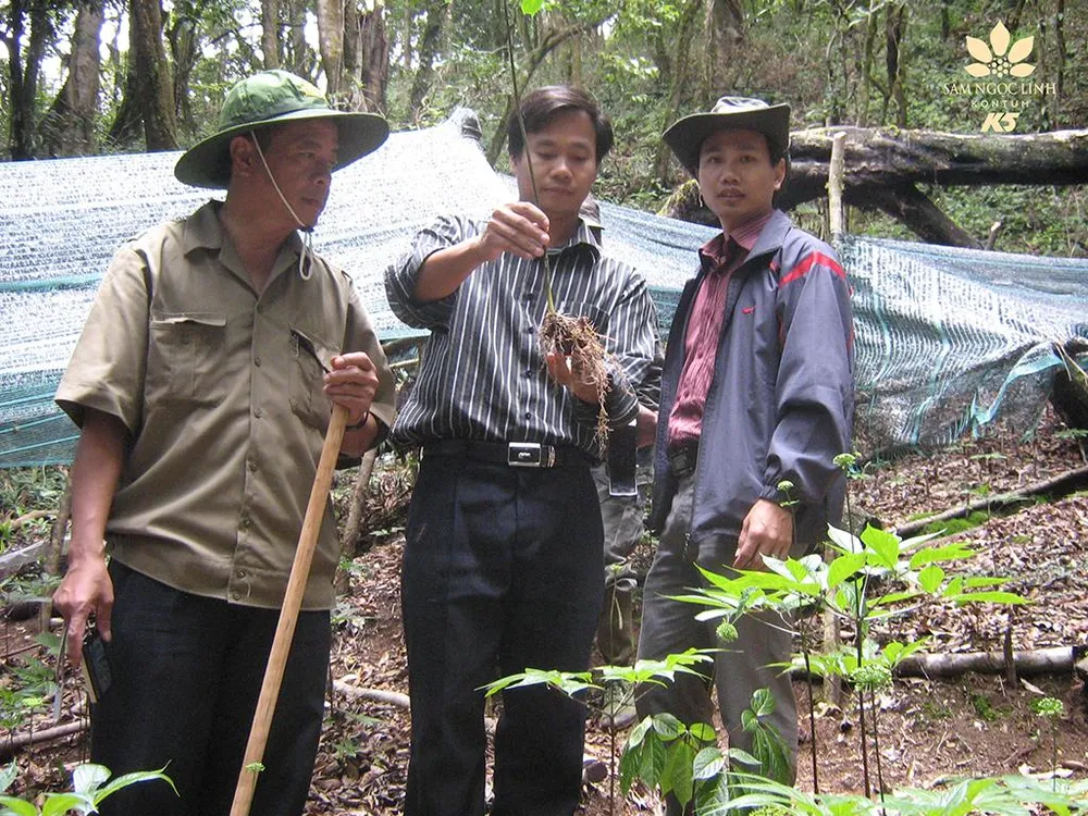 Ông Đào Xuân Quí (nguyên Chủ tịch UBND tỉnh Kon Tum khóa X), Ông Trần Hoàn (Chủ tịch HĐQT) và ông Trần Hảo