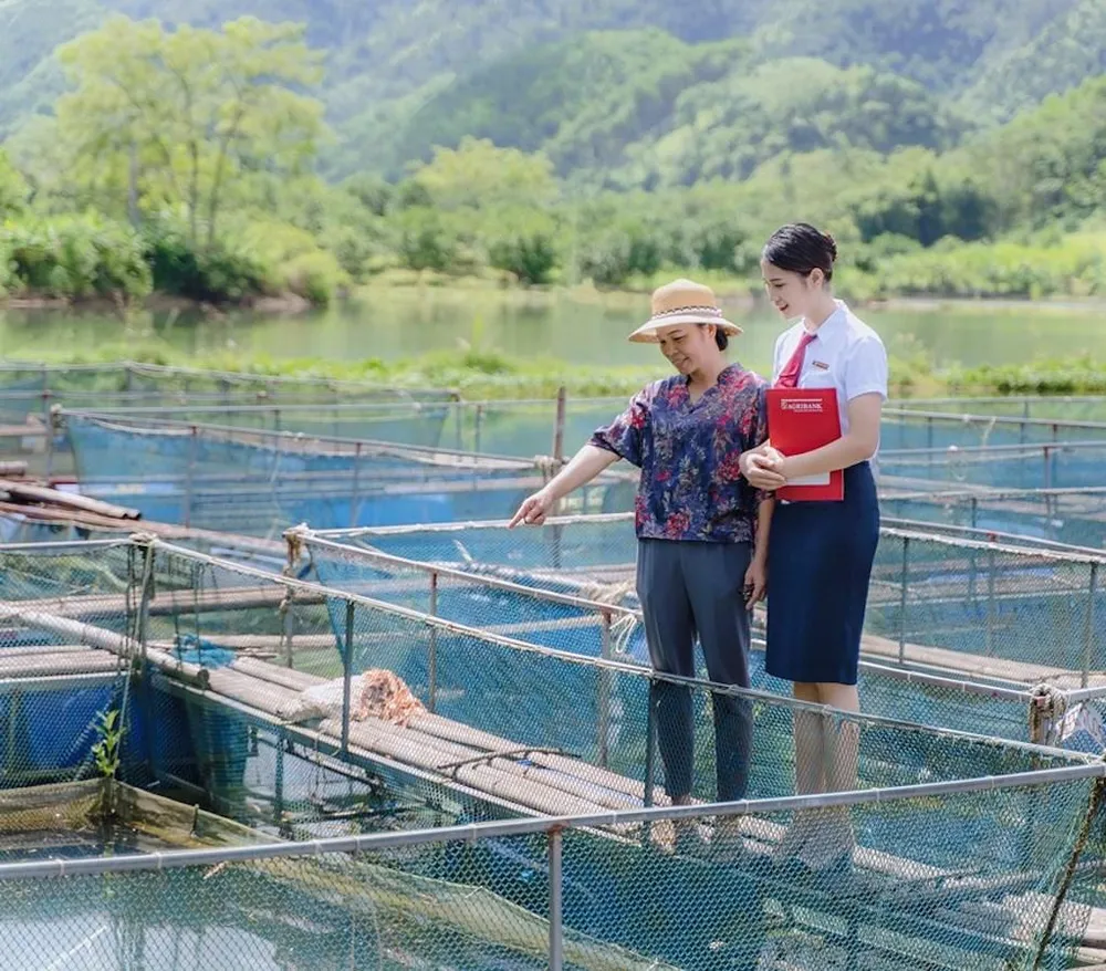 Agribank triển khai chương trình tín dụng ưu đãi phục vụ “Nông nghiệp sạch” từ năm 2016.