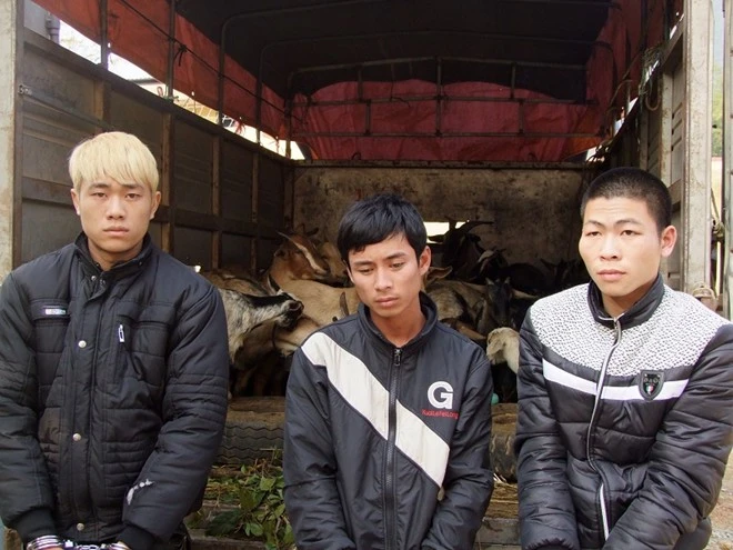 3 trong 6 thanh niên cướp cả đàn gia súc của ông Chỏi.