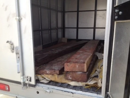 Xử phạt lô gỗ lậu tiền tỷ trong kho hàng Hãng hàng không Vietjet