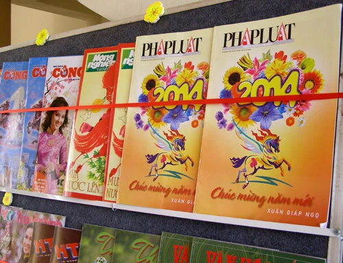 Đường hoa Trấn Biên “níu” chân du khách ảnh 10 Đường hoa Trấn Biên “níu” chân du khách ảnh 10