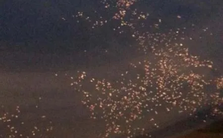 Bức ảnh được cho là chụp những mảnh vỡ trên khu vực biển gần nơi <a href='https://plo.vn/quoc-te/quan-su/' title='máy bay'>máy bay</a> Malaysia mất tích