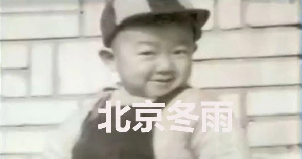 Nhập mô tả cho ảnh