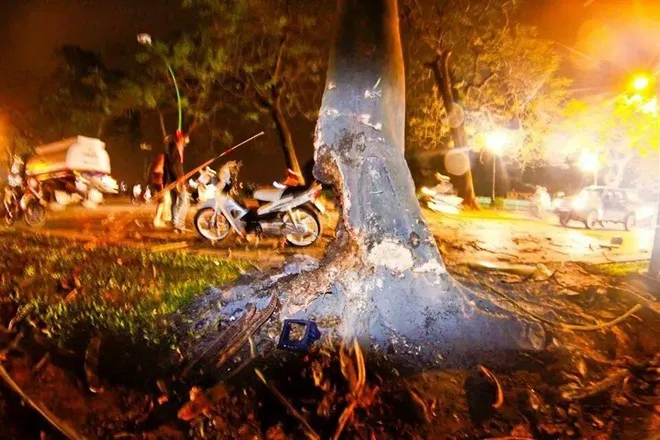 Gốc cây sau cú đâm xe. Ảnh: Otofun. Gốc cây sau cú đâm xe.