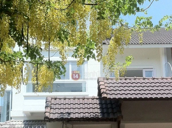 Nhập mô tả cho ảnh