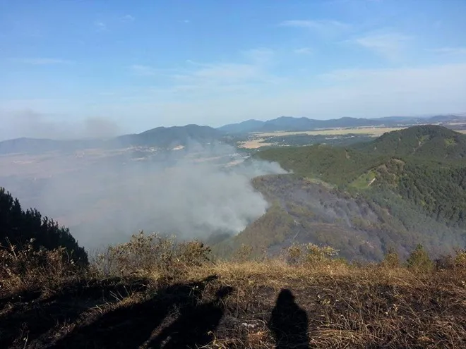 Vụ cháy rừng ở giáp ranh giữa hai huyện Đô Lương và Yên Thành gây thiệt hại khá nghiêm trọng. Vụ cháy rừng ở giáp ranh giữa hai huyện Đô Lương và Yên Thành gây thiệt hại khá nghiêm trọng.