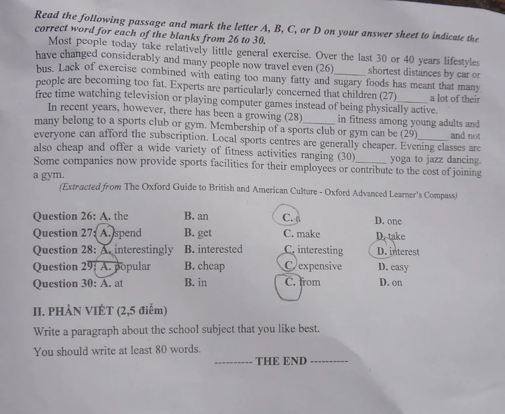 Đề thi viết luận môn ngoại ngữ nói về môn học mà em yêu thích ảnh 5