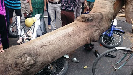 Hiện trường vụ việc.