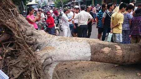 Hiện trường vụ việc.