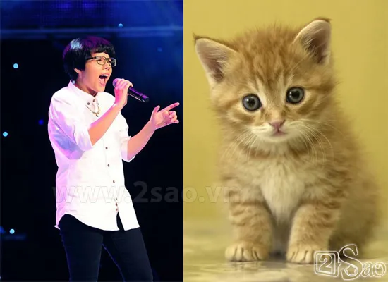 Biệt danh gắn liền với “con vật” của sao Việt ảnh 6