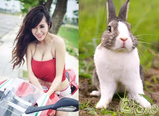 Biệt danh gắn liền với “con vật” của sao Việt ảnh 17