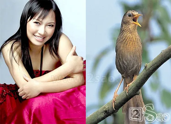 Biệt danh gắn liền với “con vật” của sao Việt ảnh 8